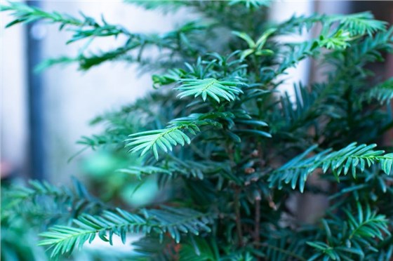 員工愛(ài)生活9